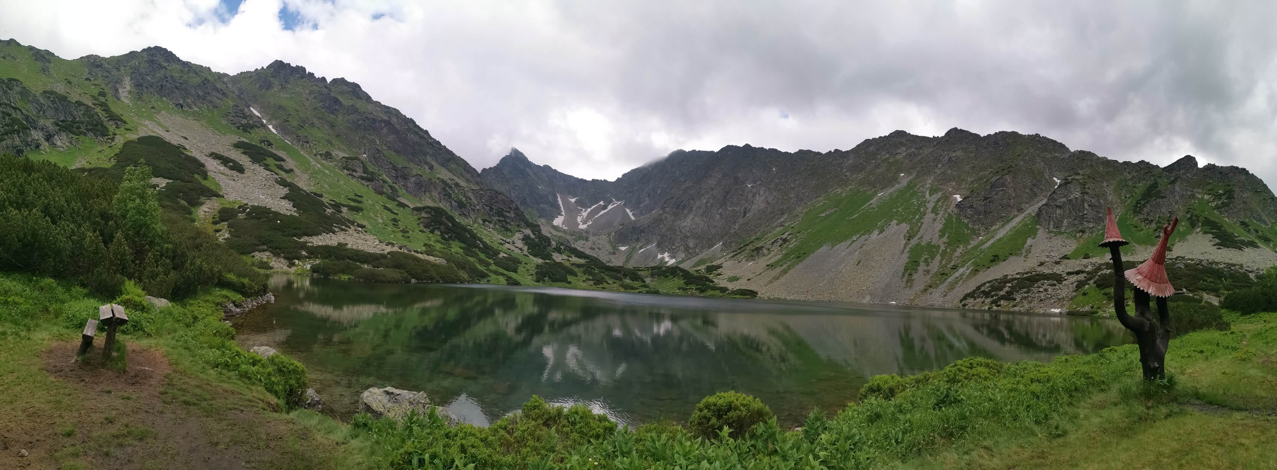 Temnosmrečinské pleso